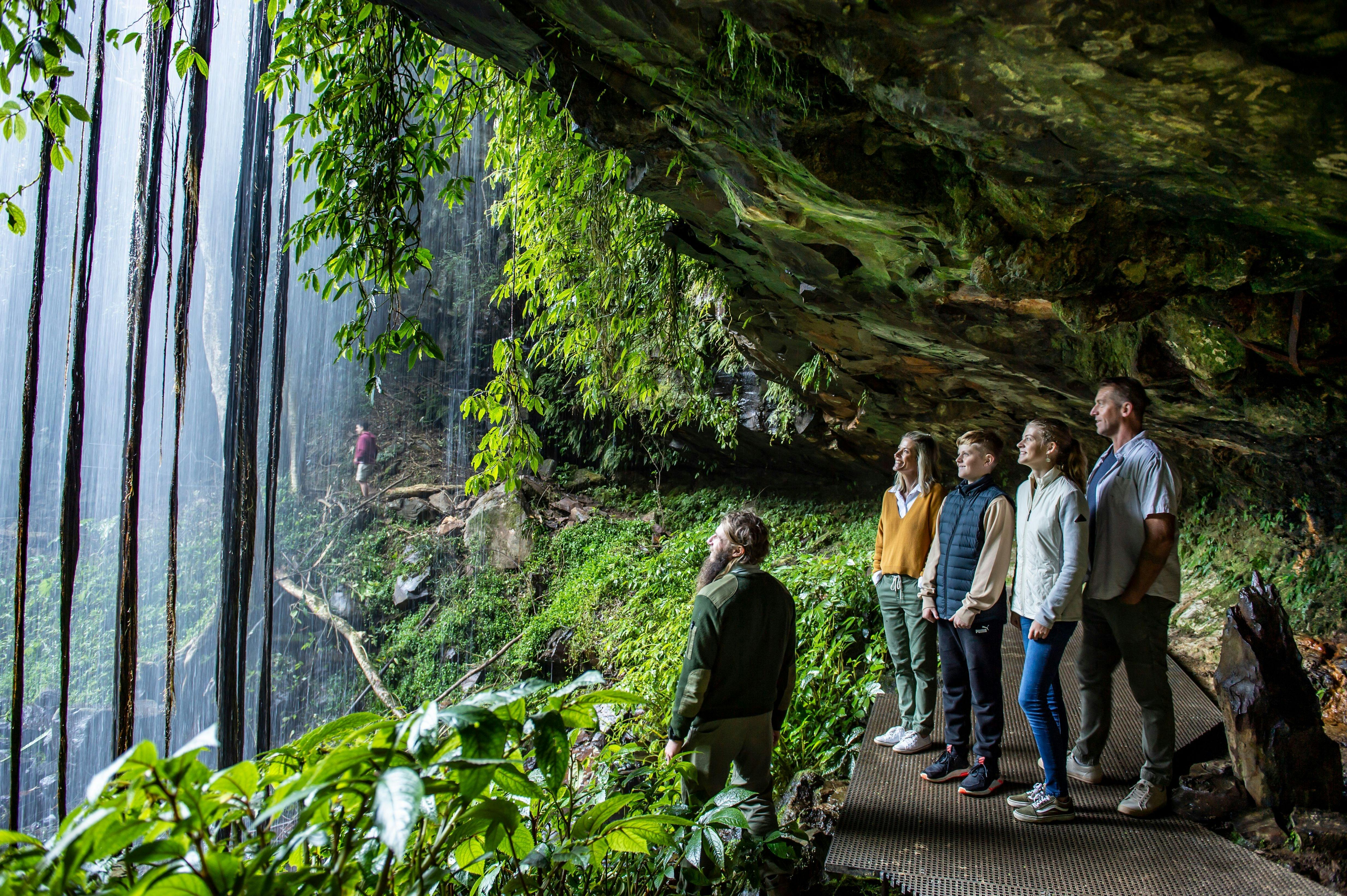 Family enjoying a ranger-guided walk through Dorrigo National Park, Dorrigo Mountain.