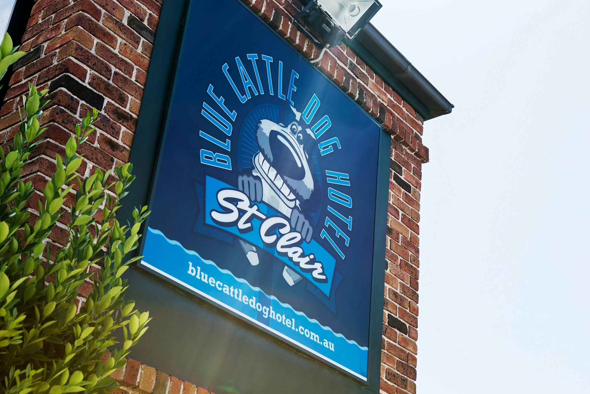 Nightcap at Blue Cattle Dog Hotel