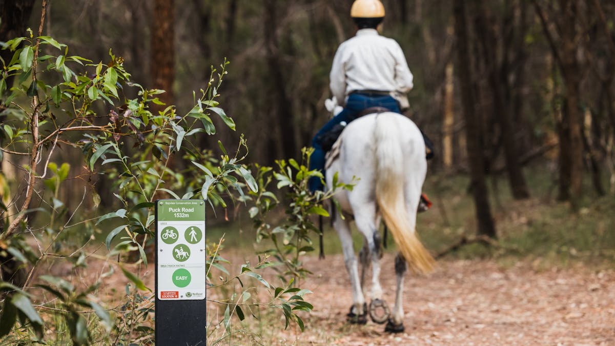Horse rider on Puck Road trail in Bayview Conservation Area, Redlands Coast