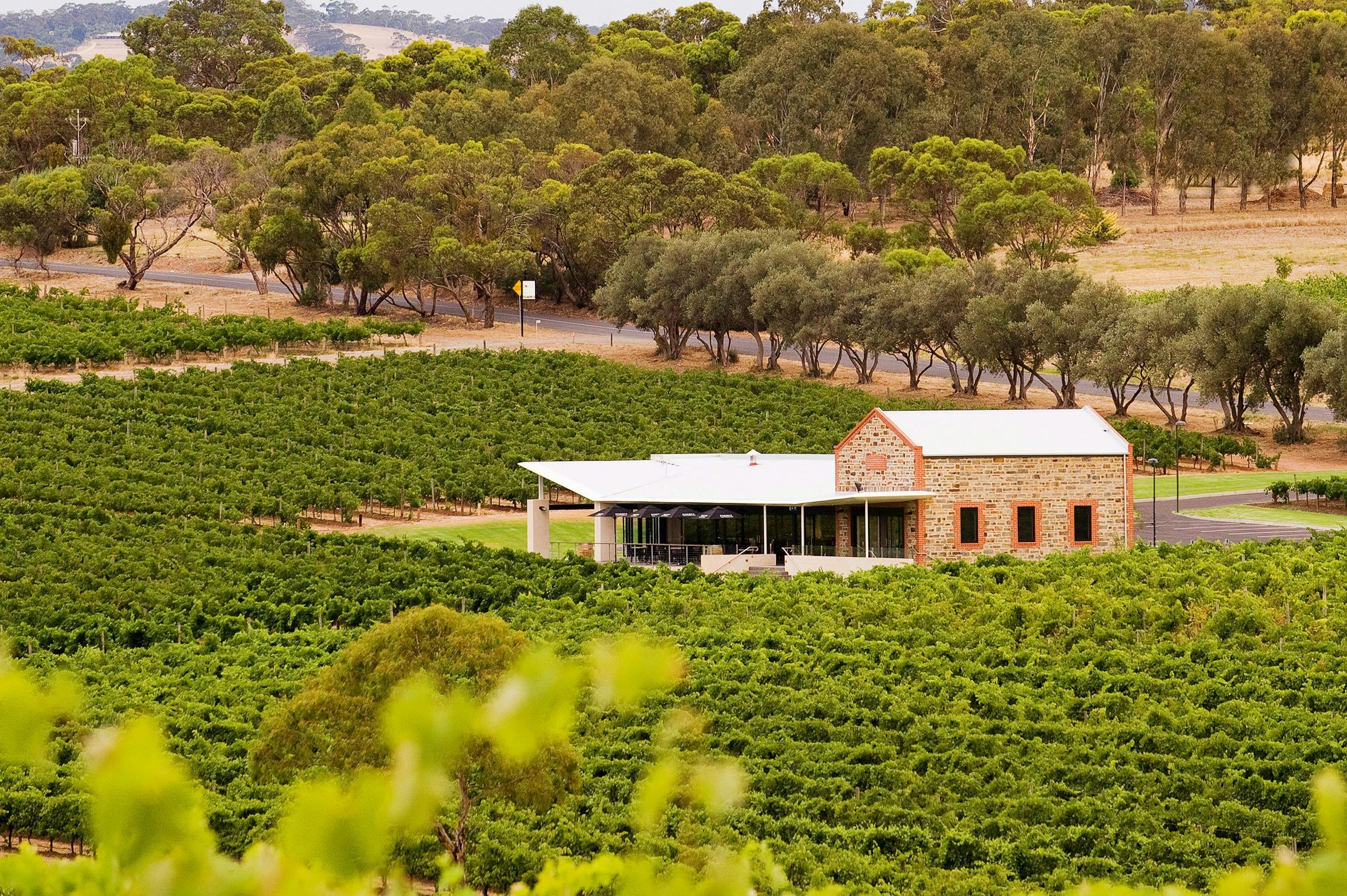 Angove Family Winemakers McLaren Vale