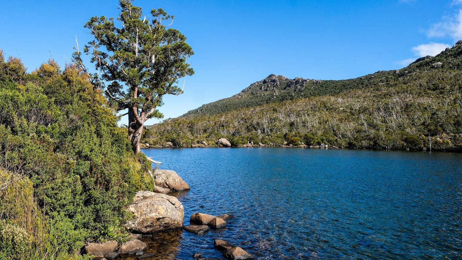 Hartz Mountains National Park
