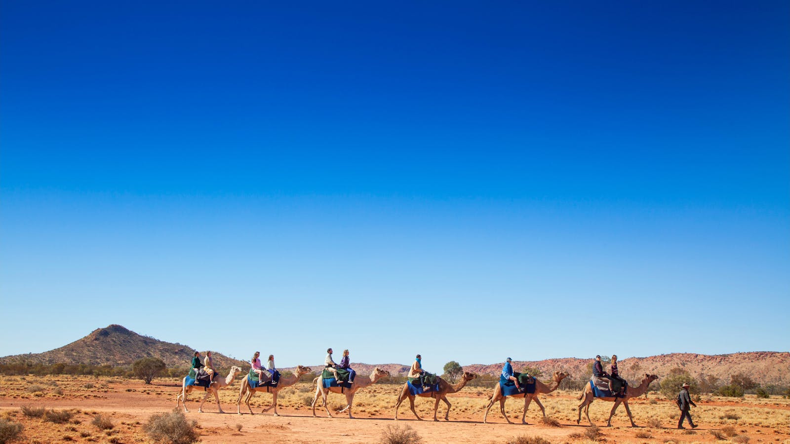 Pyndan Camel Tracks
