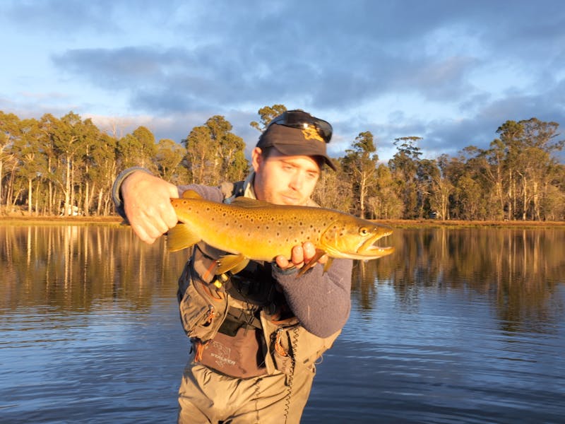 Matt holding large brown Tasmanian trout