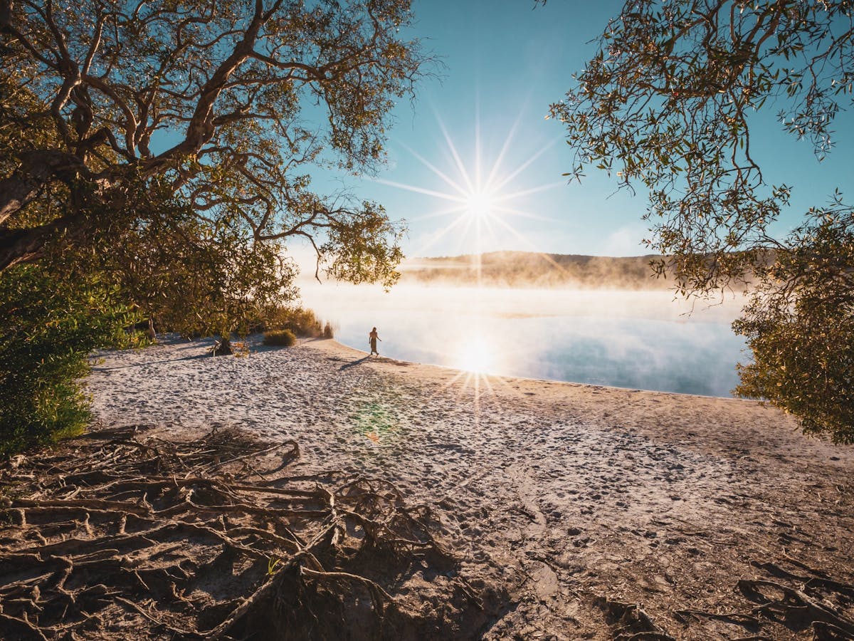 Brown Lake (Bummiera)