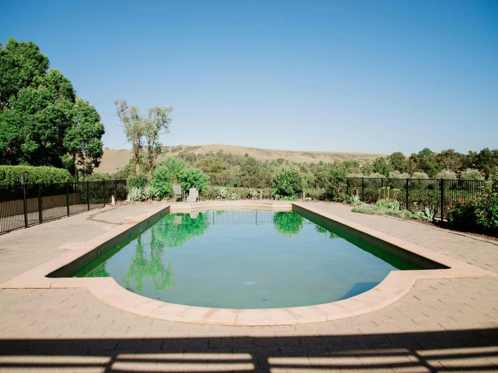 Tranquil Vale Vineyard