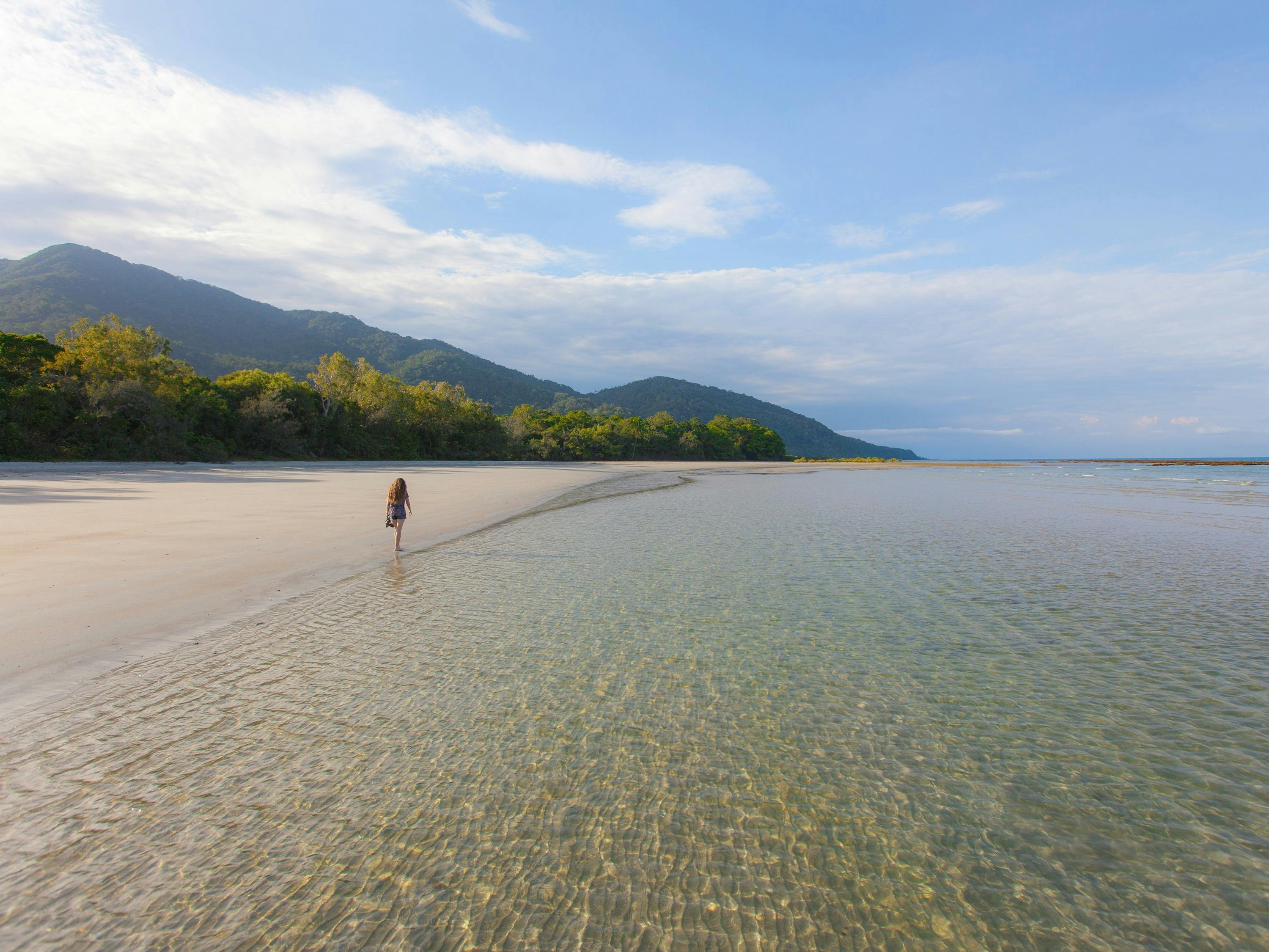 Visit Cape Tribulation Beach; where the rainforest meets the reef
