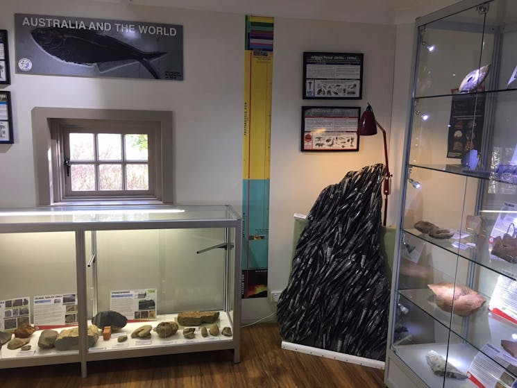 Ulladulla Fossil House Display