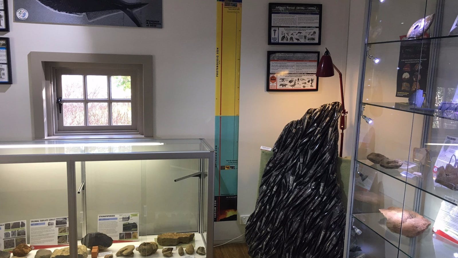 Ulladulla Fossil House Display