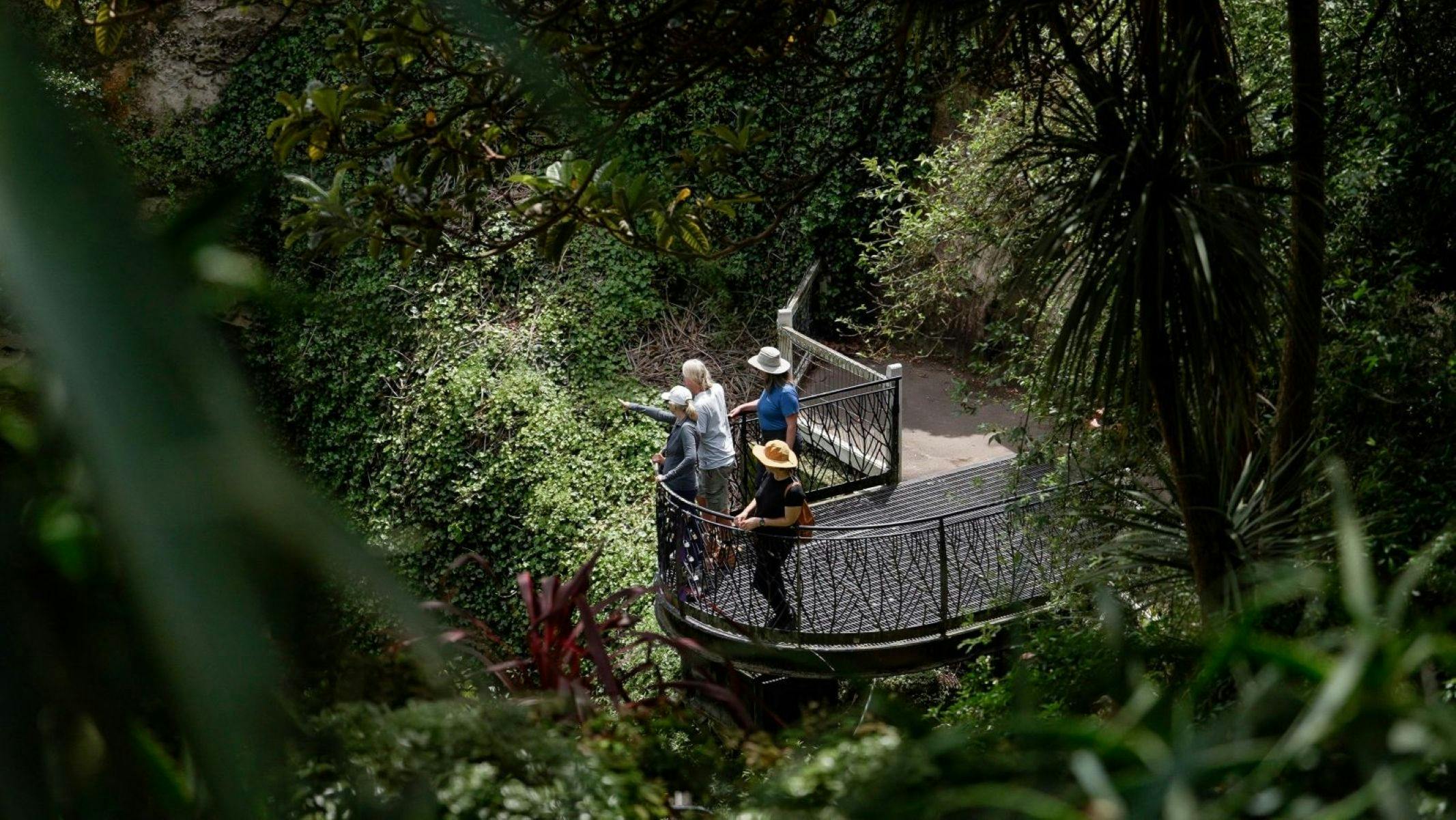 Aussie Camino - Peering into Caves Gardens Sinkhole/Thugi Mt Gambier