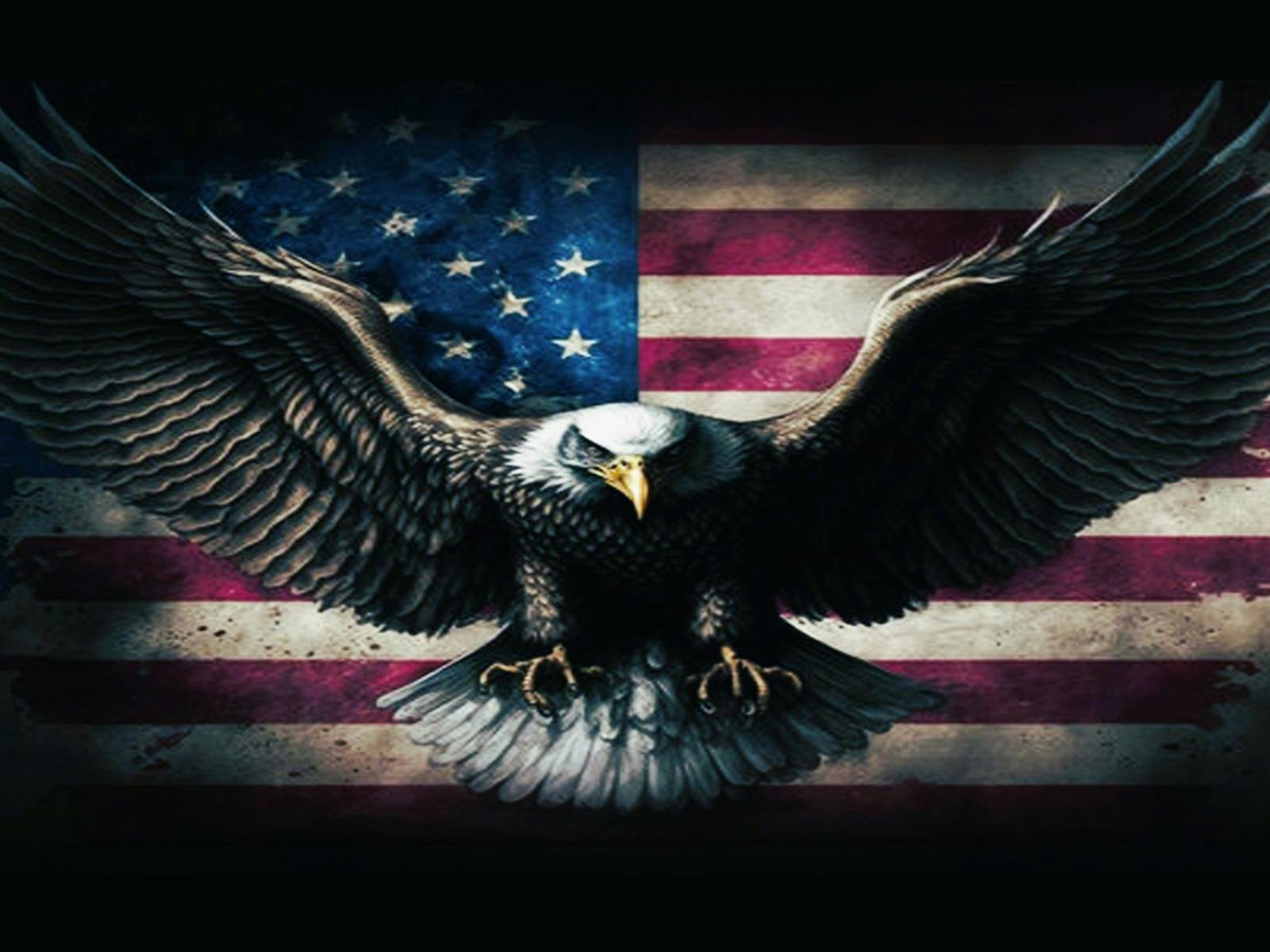 A bald eagle in flight in front of an American flag