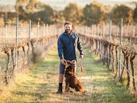 Antonio's Wines