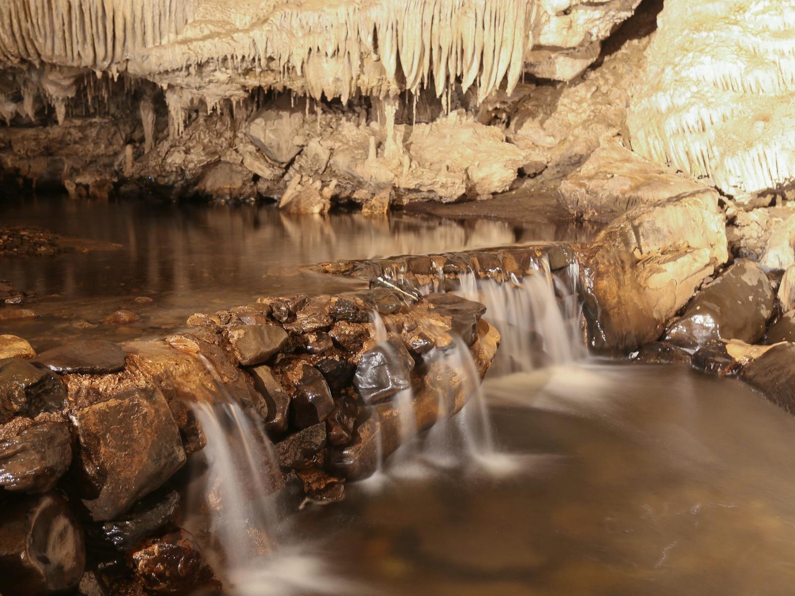 Mole Creek Caves