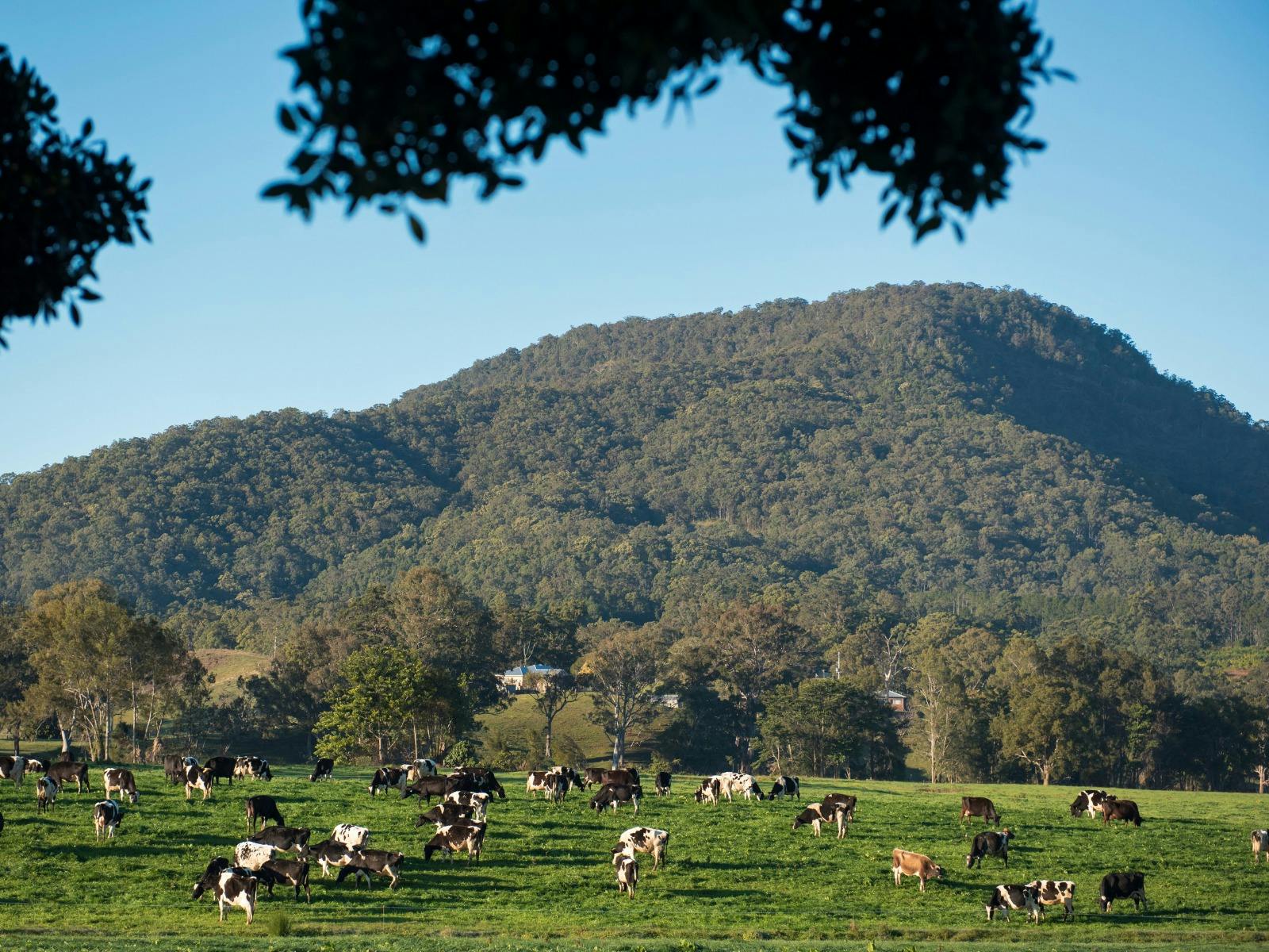 自転車でノーザンリバーを探索しましょう。