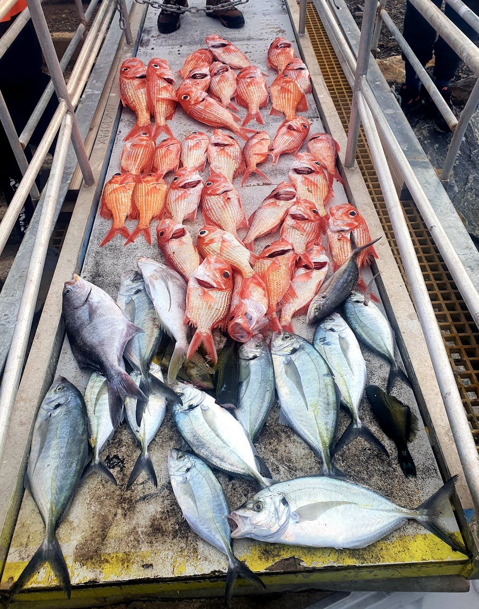 Mixed bag