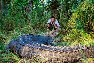 Australian Wild Tours