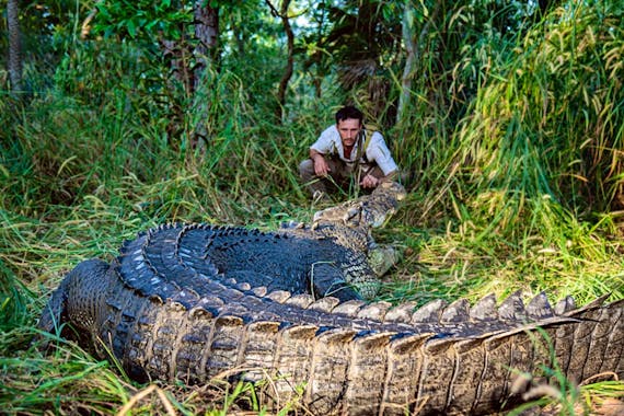 Australian Wild Tours