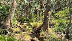 Ku-ring-gai National Park