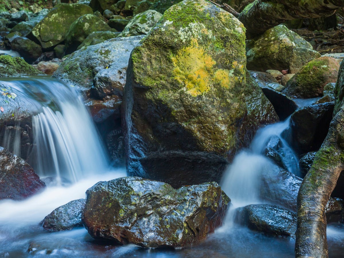 White water cascades over rocks into a rock pool.