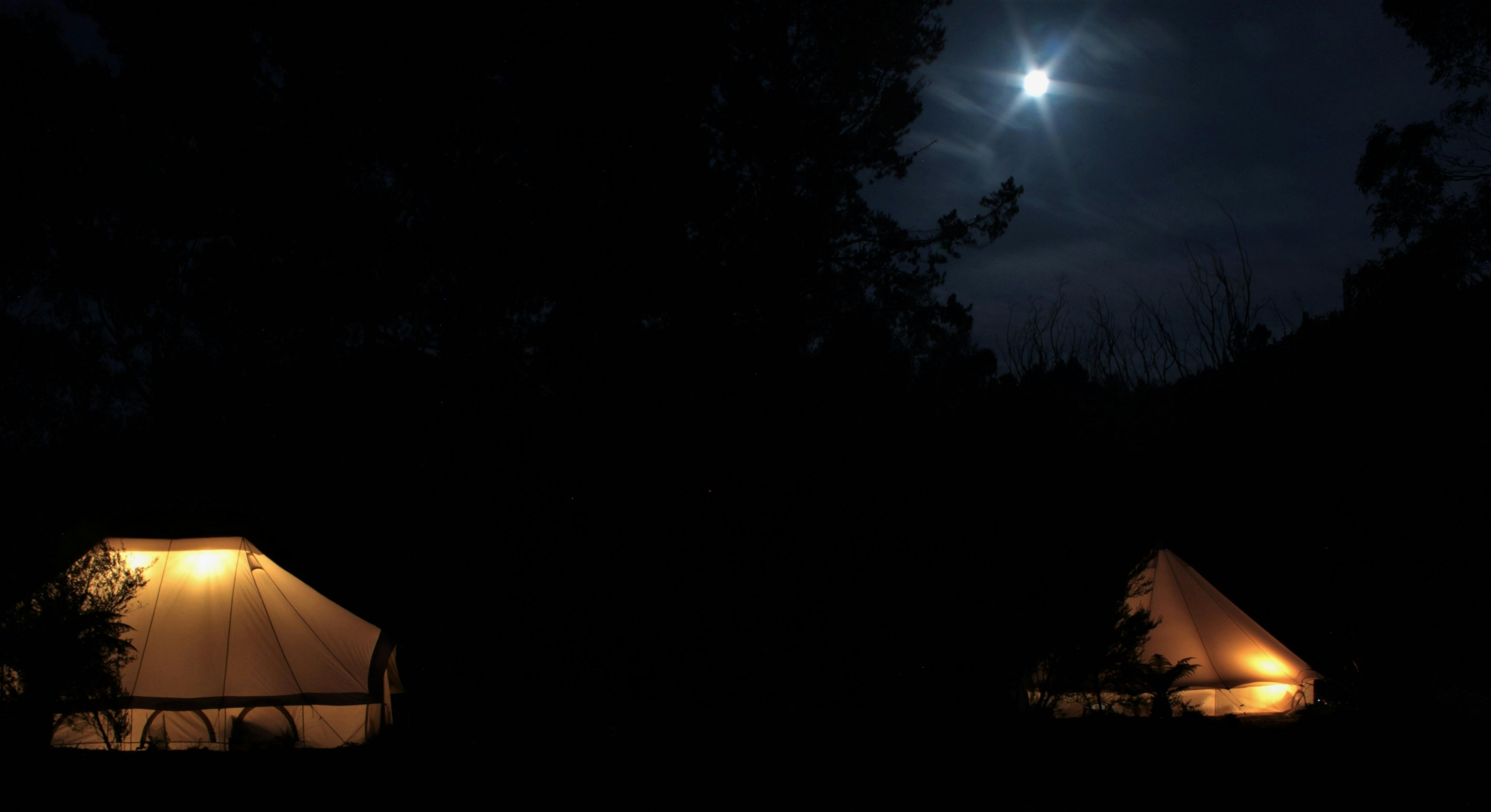 Zeehan Bush Camp
