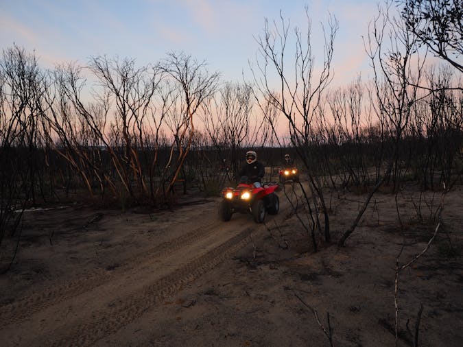 Sunset Kangaroo Safari Quad Adventure