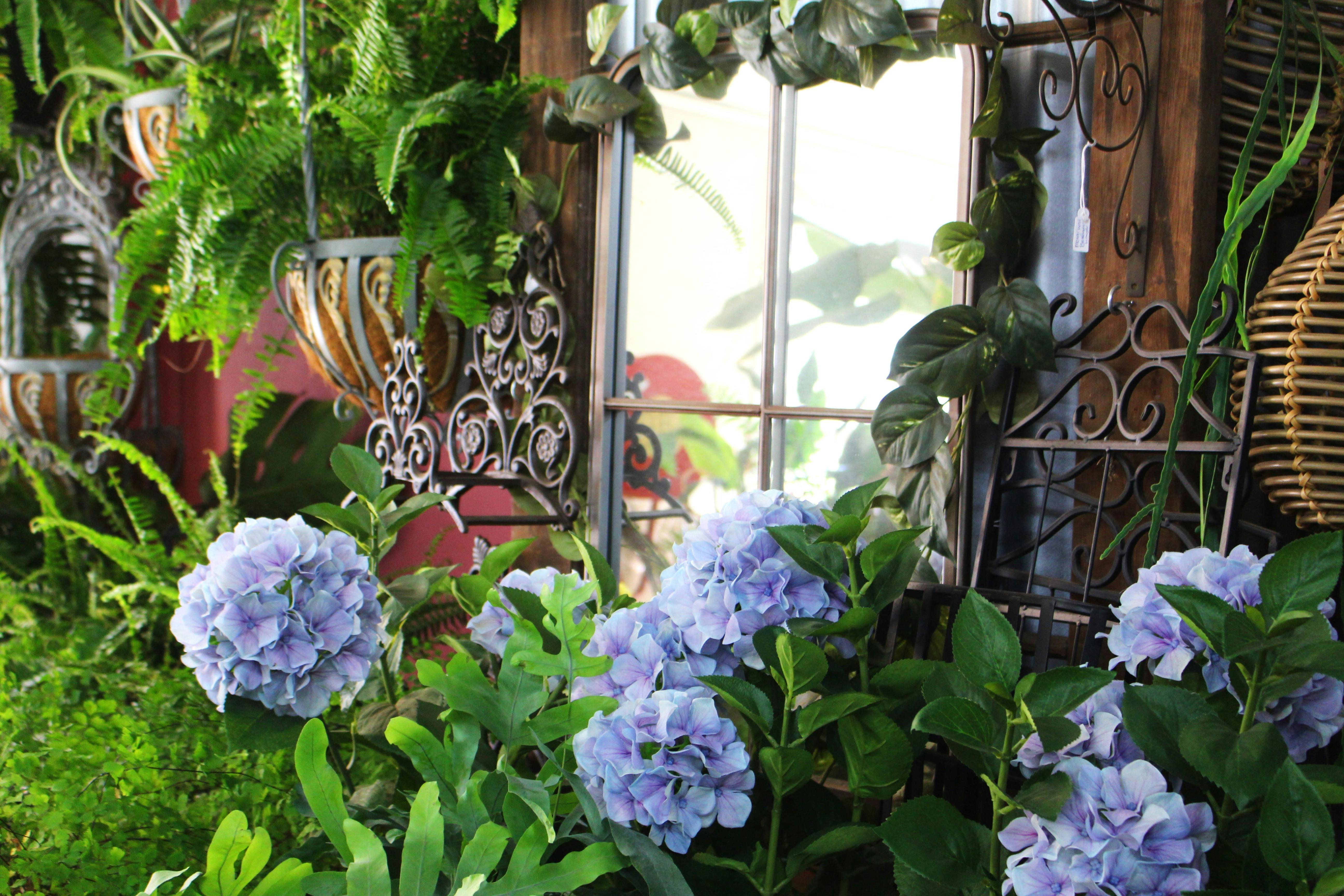Plants and decor