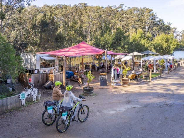 Southbound Escapes Tours