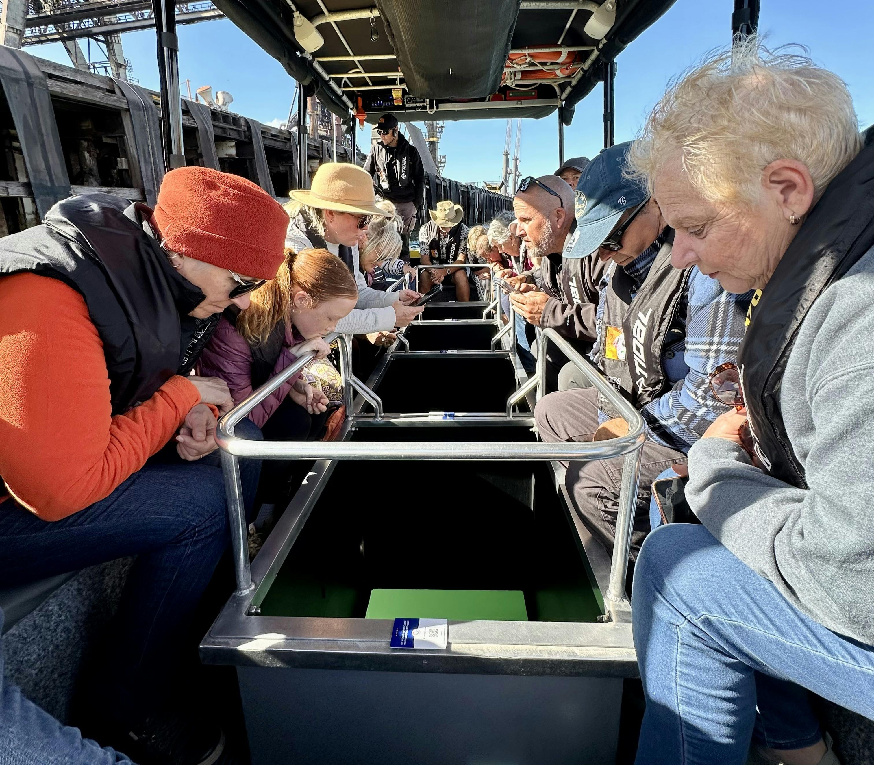 Glass Bottom Boat Tour Whyalla