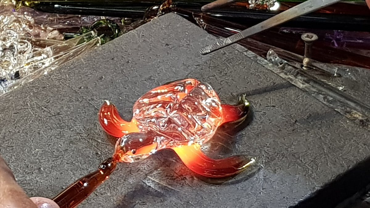 Turtle Turtle