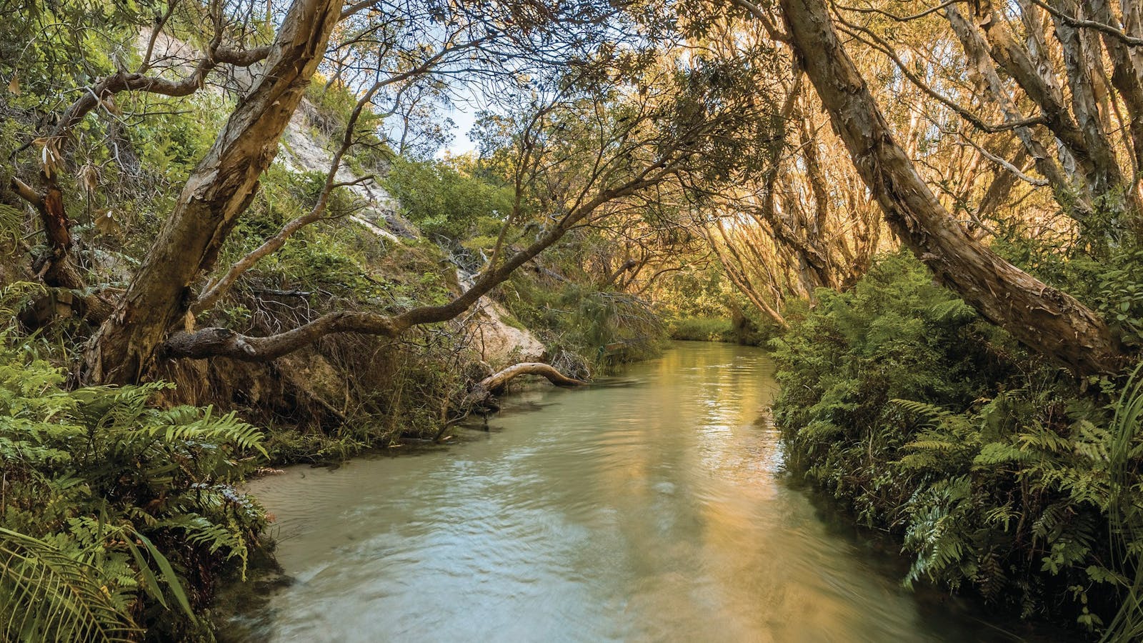 The Great K'gari Trail
