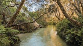 Eli Creek, Fraser Island