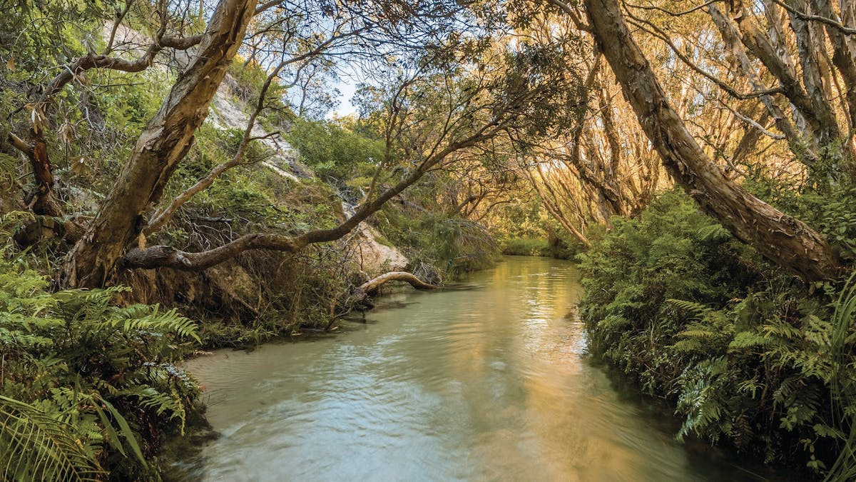 Eli Creek, Fraser Island