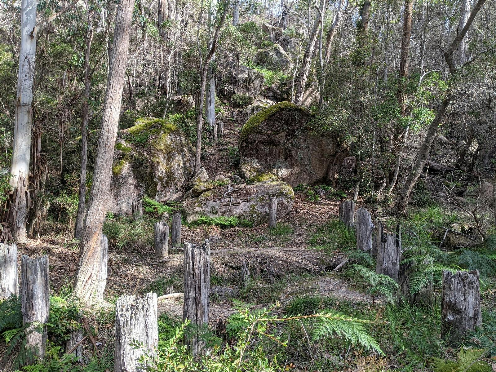 World War II Tank Traps