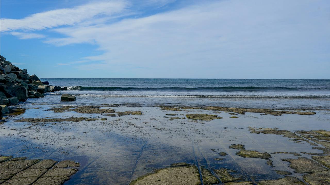 Fossil Walk