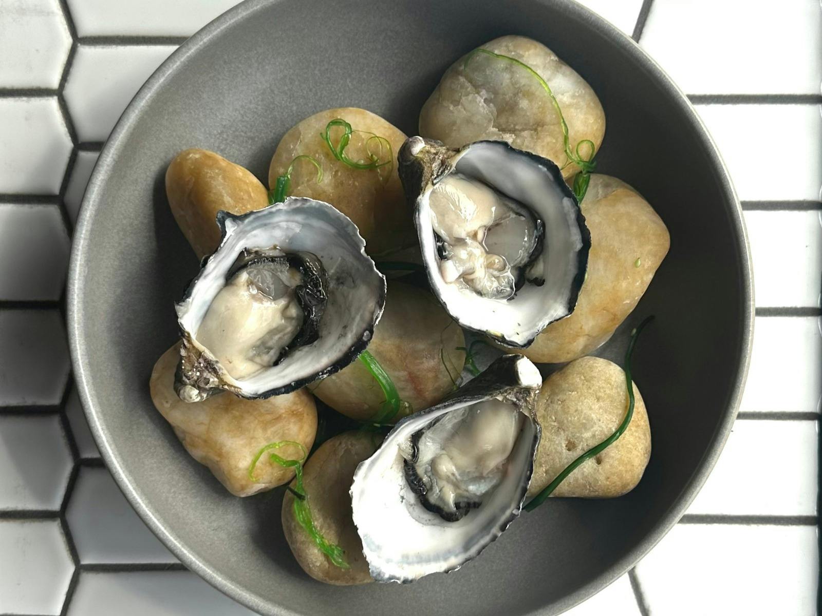 Oysters  Yves Social