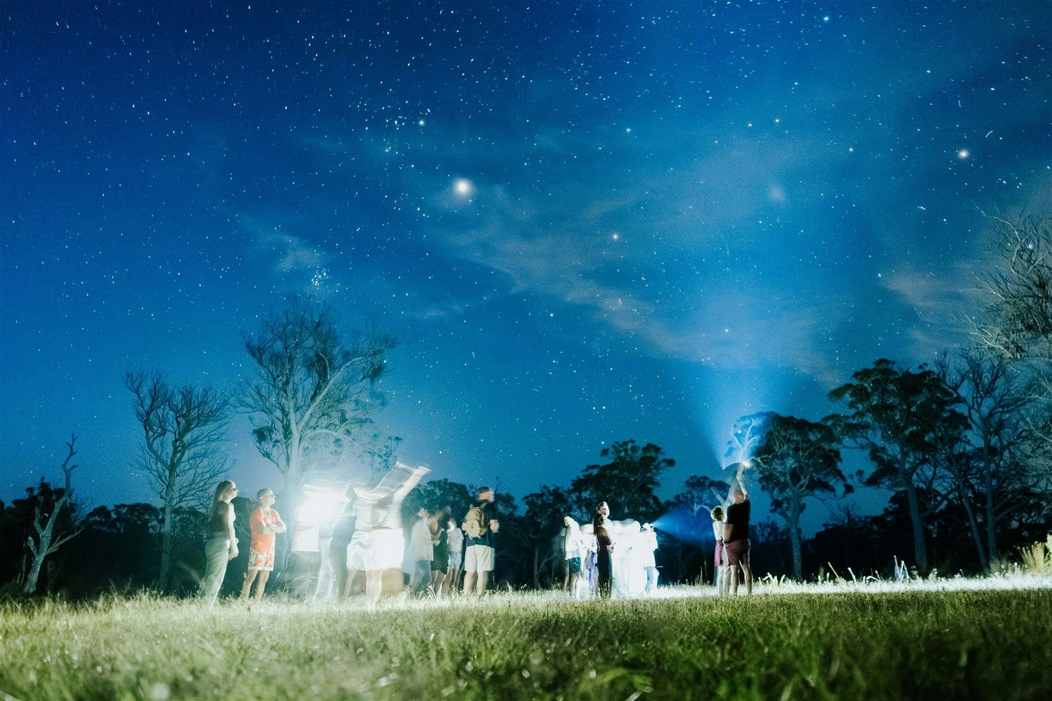 Walking by torchlight under the stars at Scribbly Farm