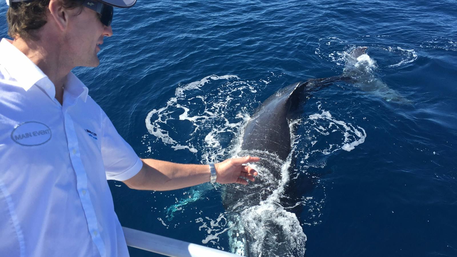 Whale Watching