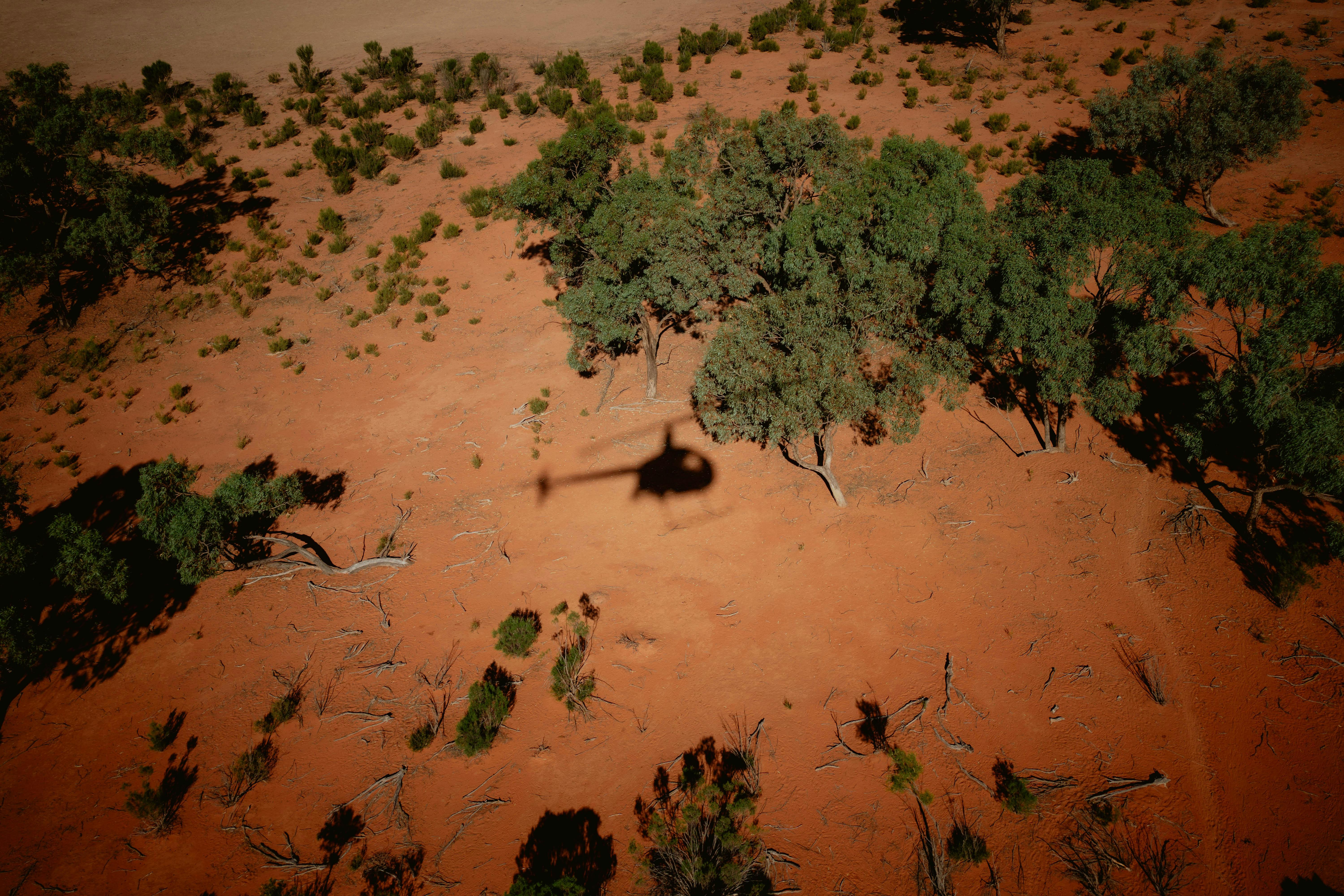 Helicopter shadow flying over outback landscape