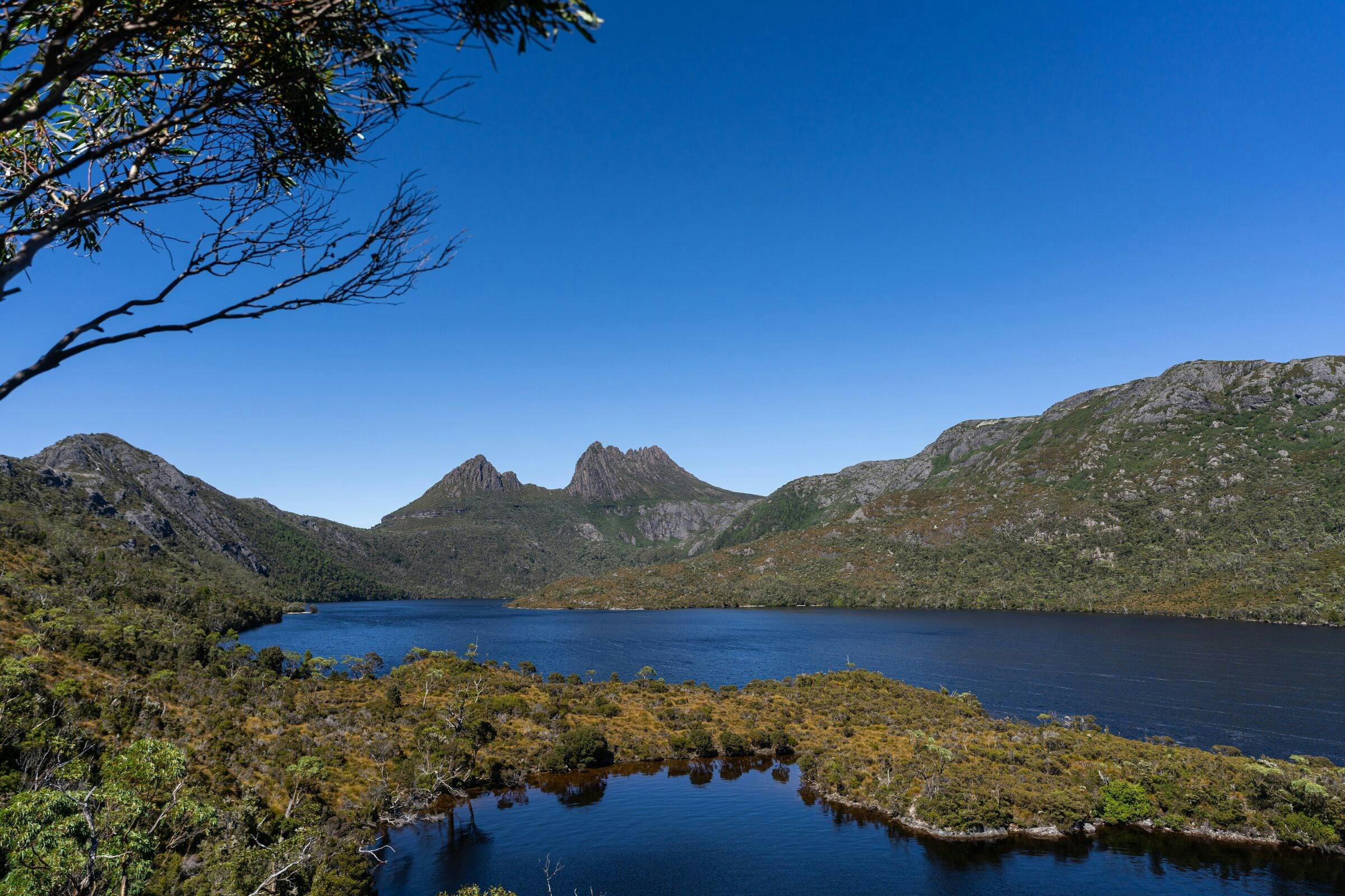 Walk Tasmania's Tarkine & Cradle Mountain