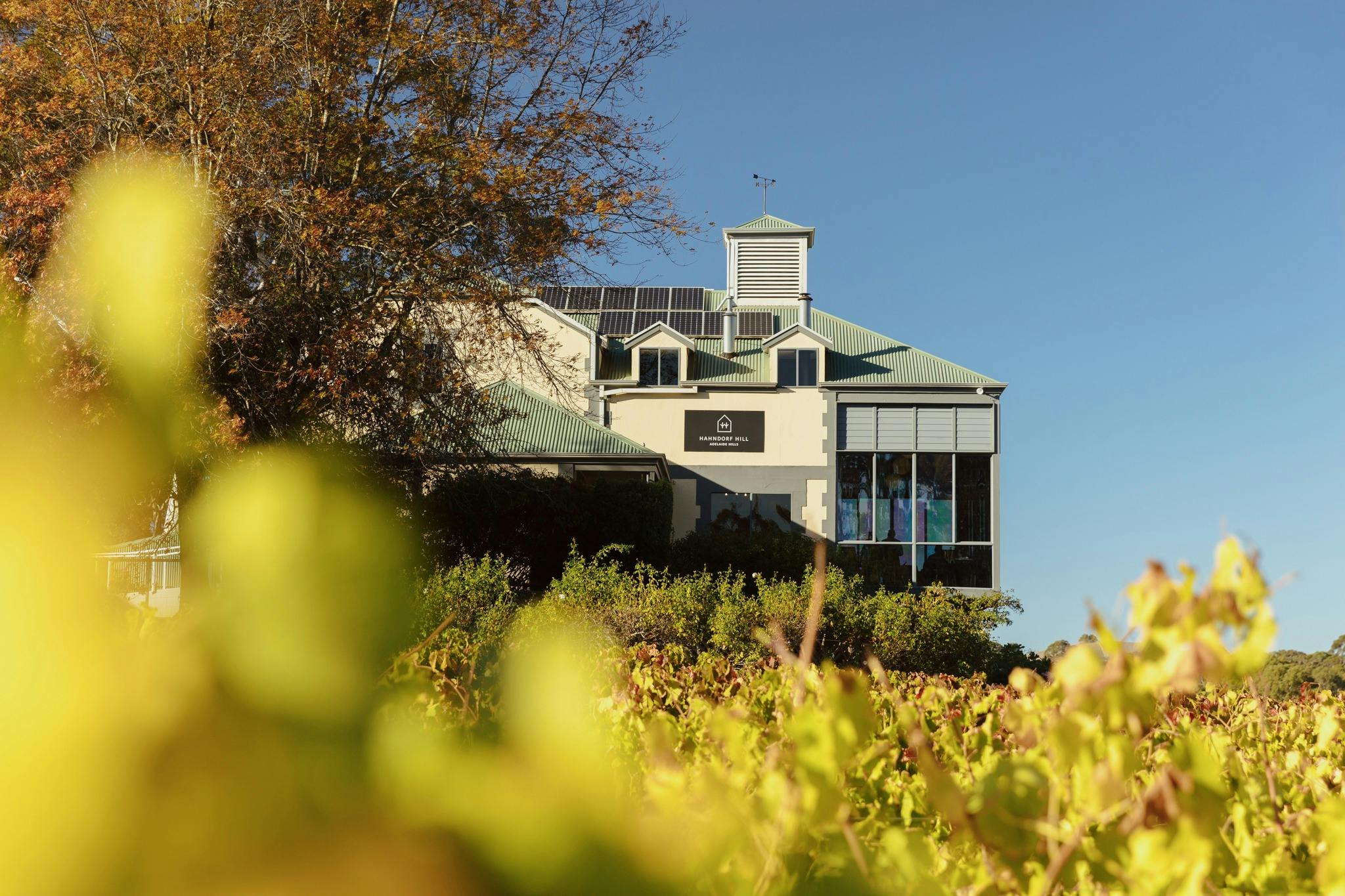 Hahndorf Hill Cellar Door