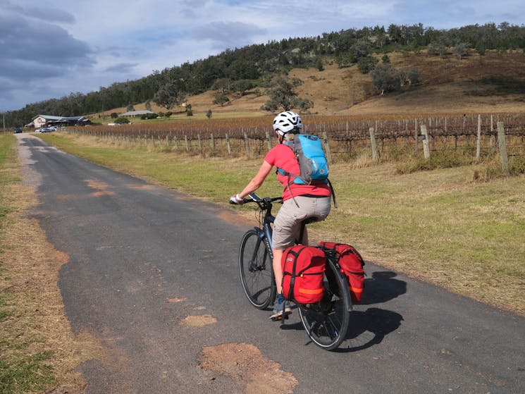Cycling up to a vineyard in Mudgee.