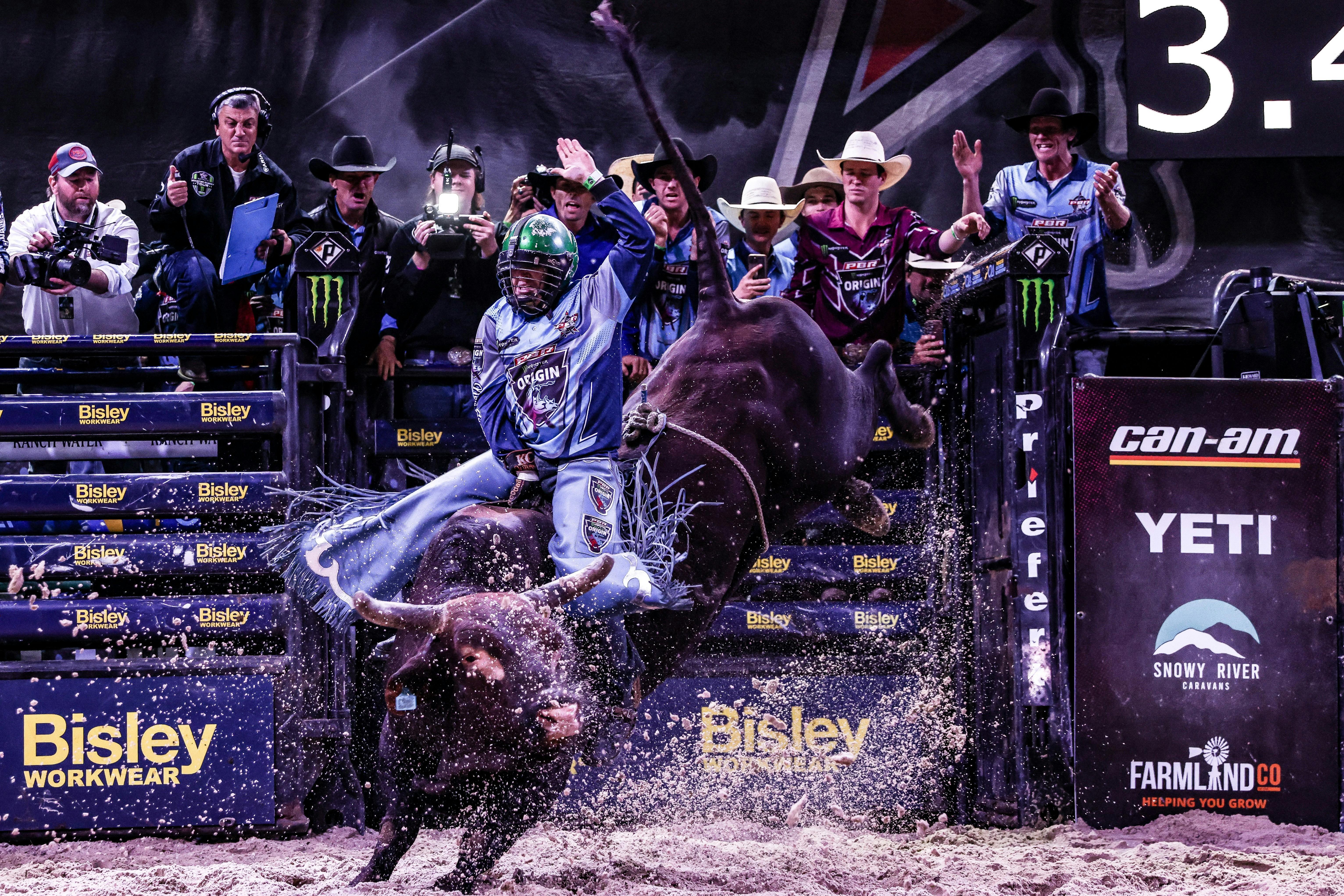 PBR cowboy riding bull