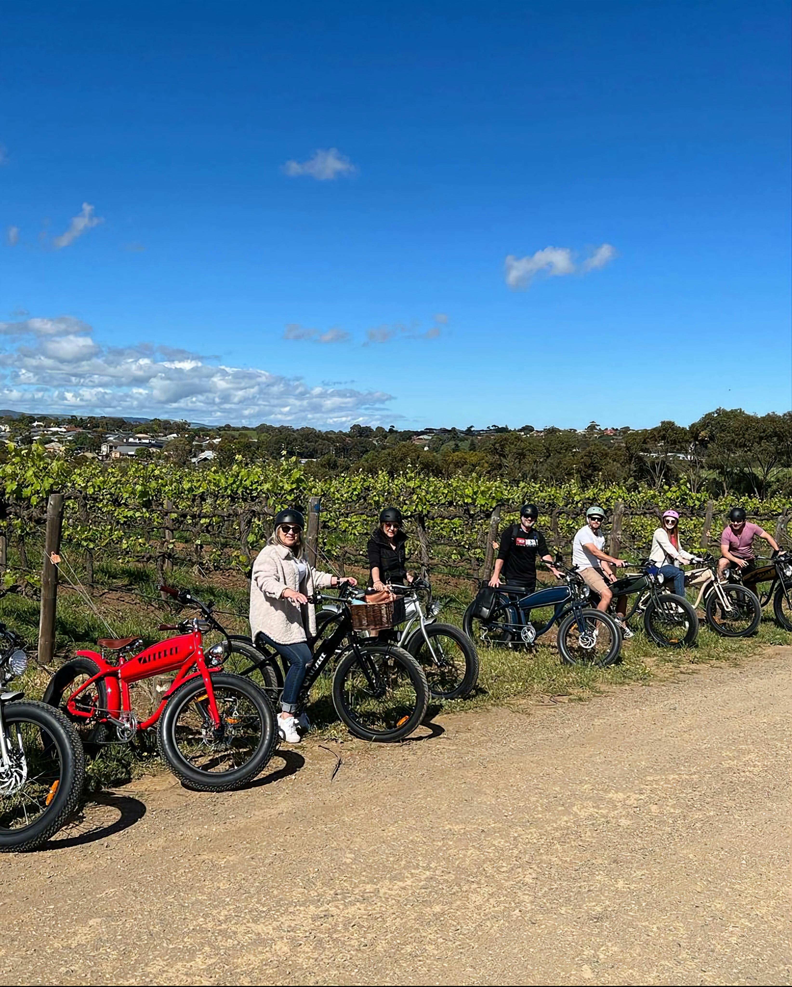 Mclaren Vale Winery Tour McLaren Vale