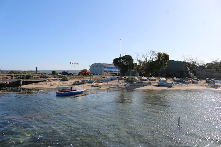Taste and Discover American River