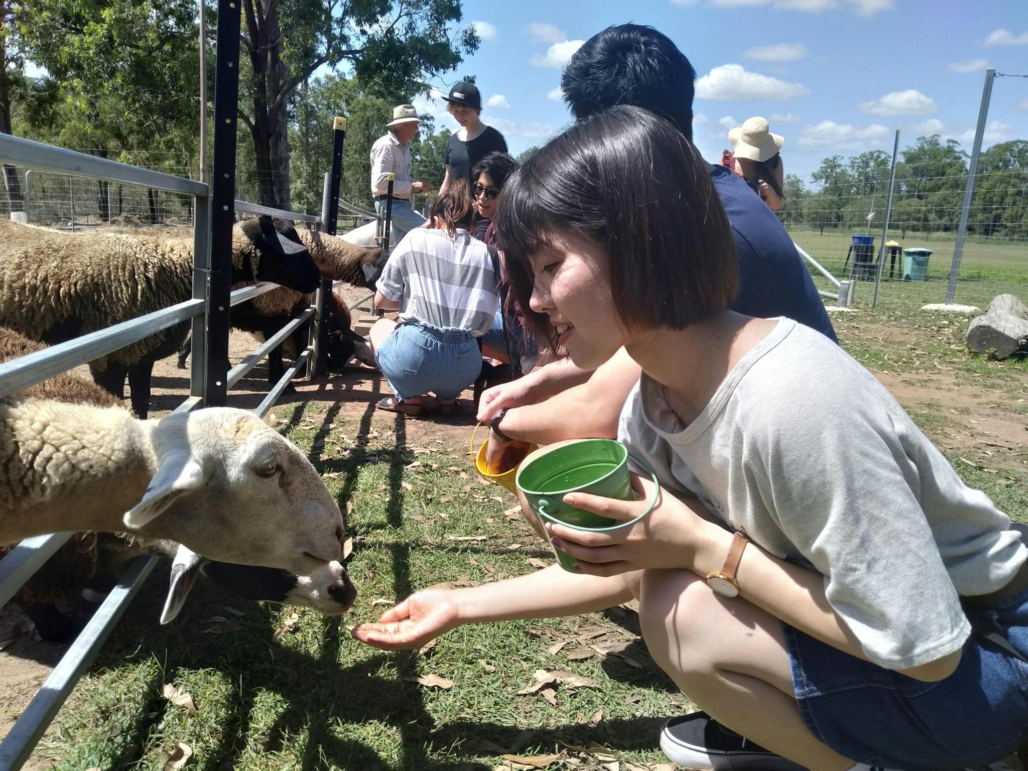 Alpaca Hobby Farm Wildlife Tour