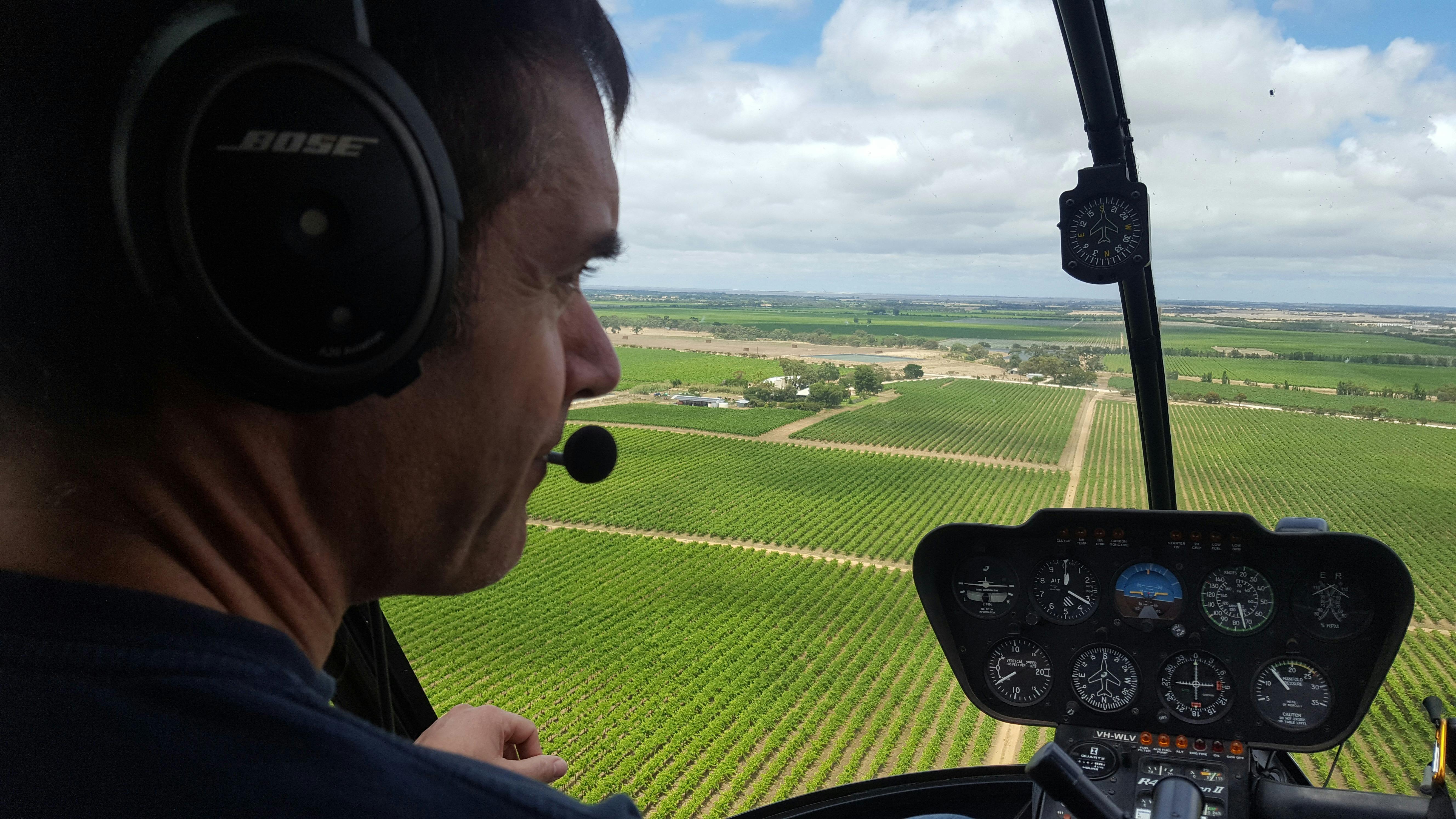 Vines and more vines from the air
