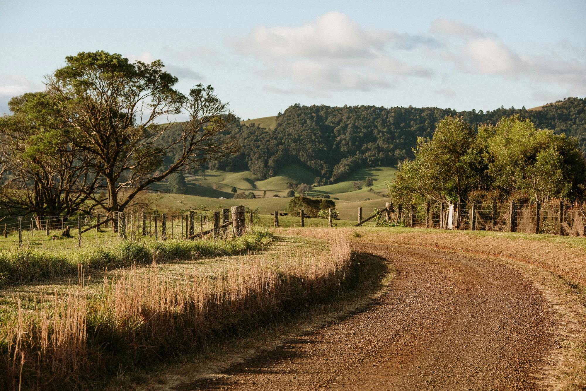 Photo of sweeping country road at golden hour