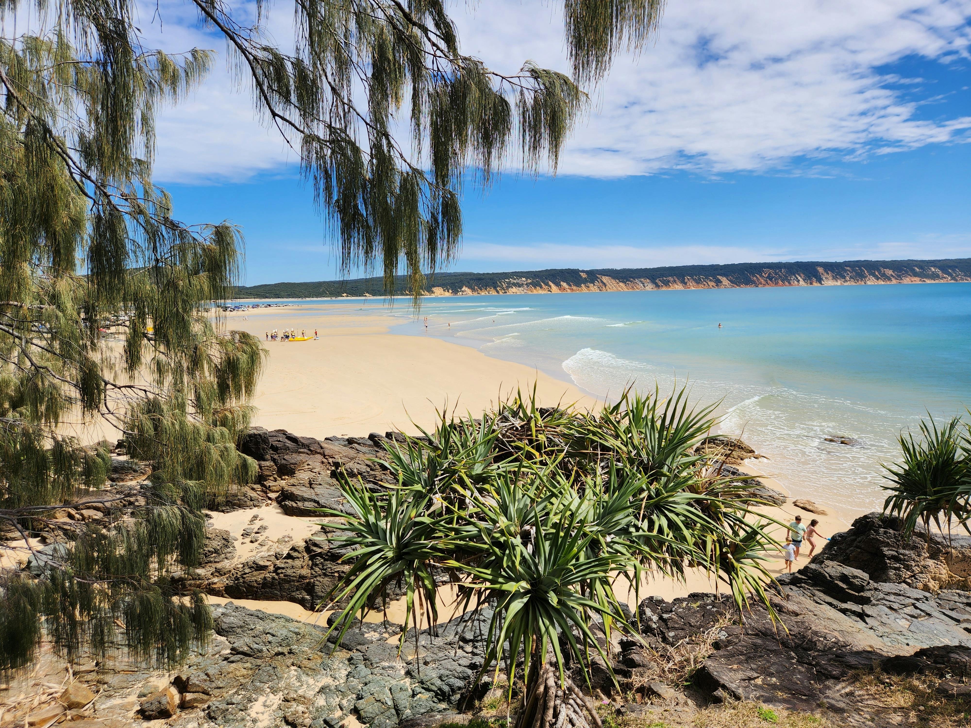 Noosa Dolphin Sea Kayak Tour & 4X4 Beach Adventure