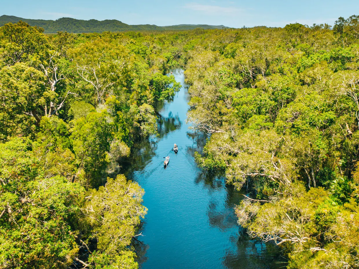 Noosa Everglades