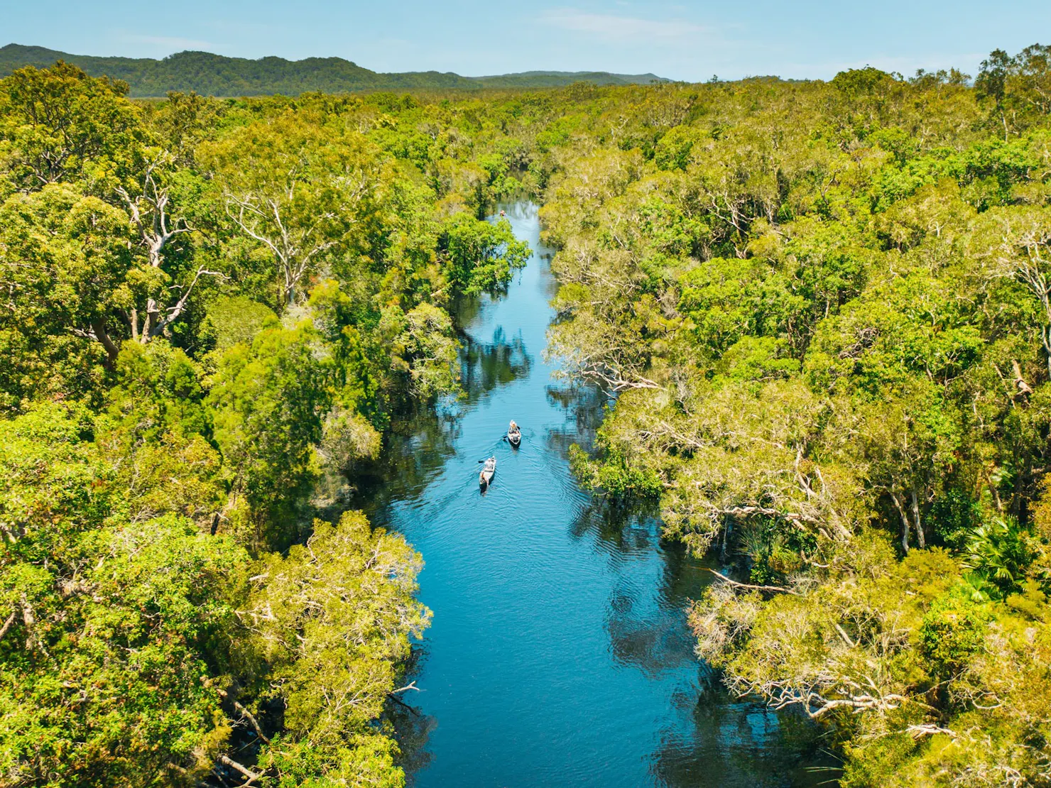 Everglades