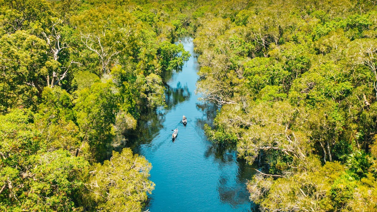 Everglades Everglades